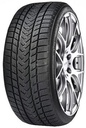 225/50R19 100V GRIPMAX PRO WINTER XL